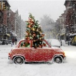 decorated christmas tree